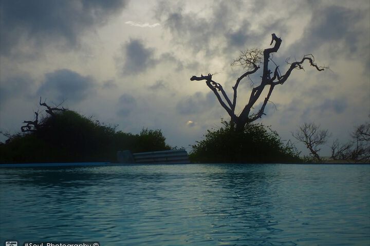 Pool 11 of 49