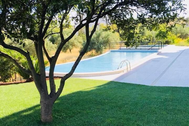 Pool 16 of 43