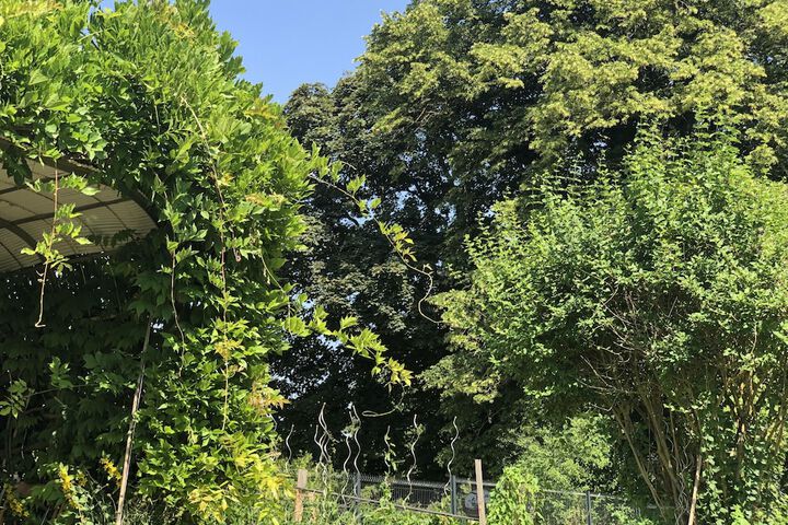 Hotel Exterior 61 of 61