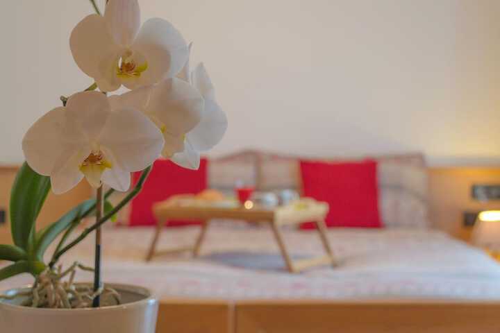 Room 12 of 65