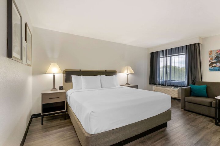 1 King Bed (4 of 20)