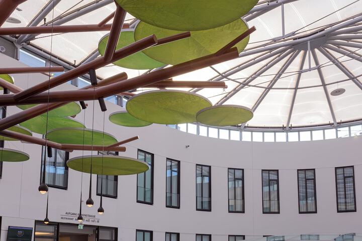 Entrance & Lobby