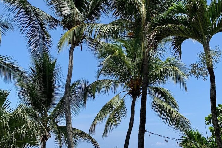 Beach 33 of 48