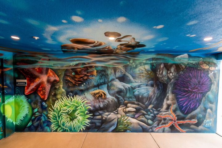 Children's area