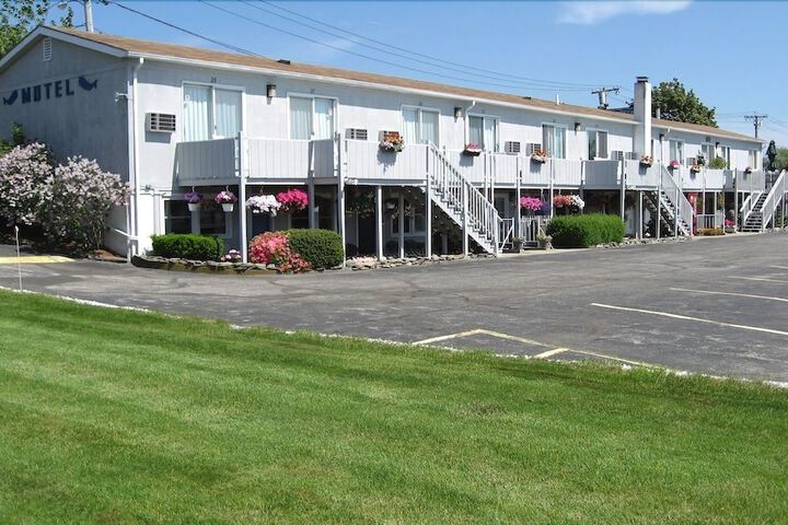 Photo of SEA WHALE MOTEL