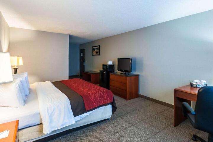 1 King Bed (9 of 10)