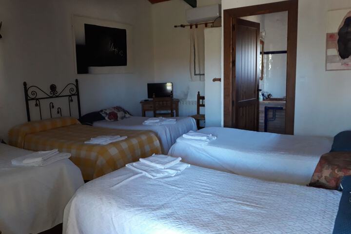 Room 9 of 20