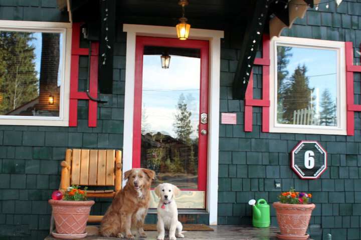 Pet Friendly 141 of 153