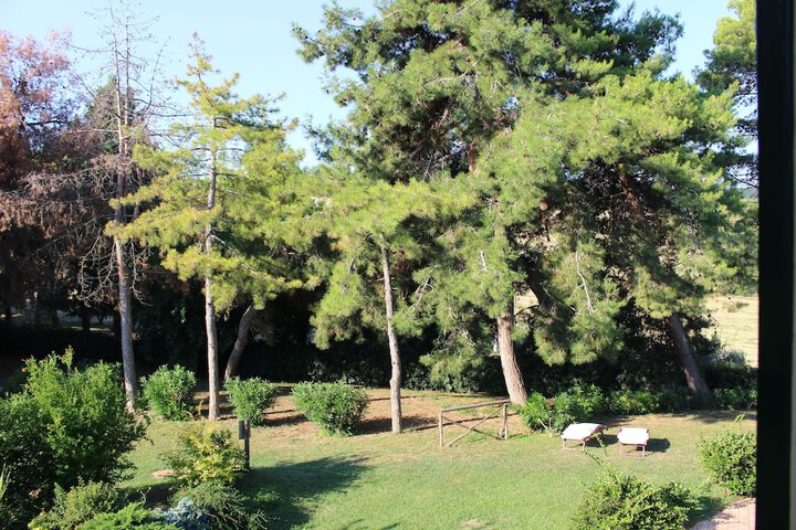 Property Grounds 16 of 31