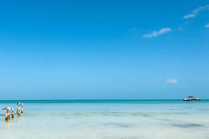 Beach 28 of 50