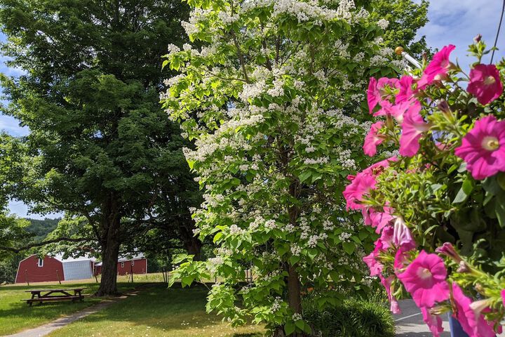 Hotel Exterior 163 of 191