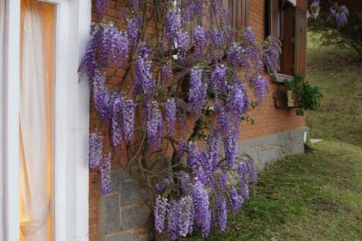 General 98 of 100