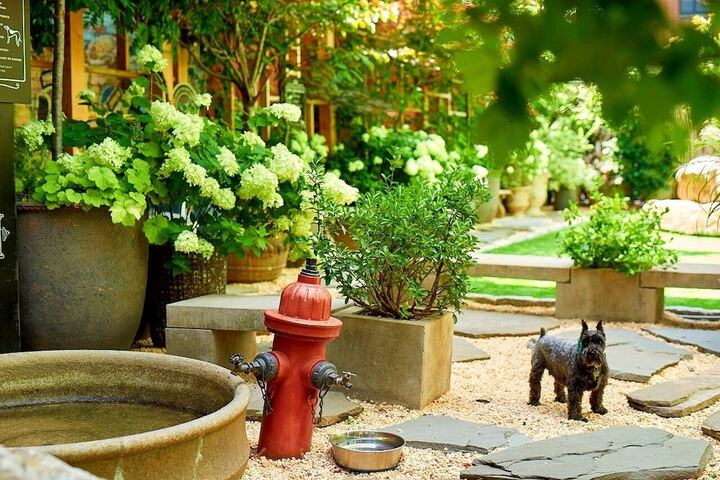 Pet Friendly 50 of 77