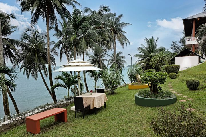 Garden view