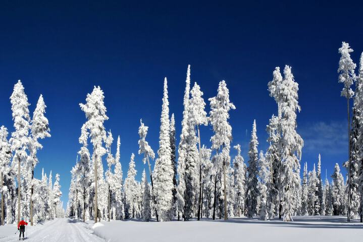 Outdoor Activities 60 of 120