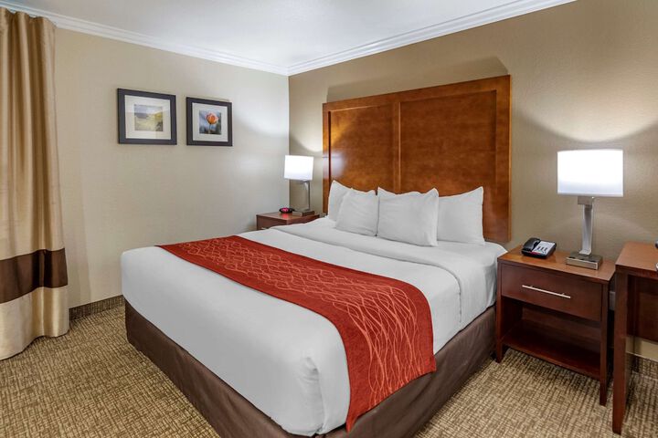 1 King Bed (3 of 20)