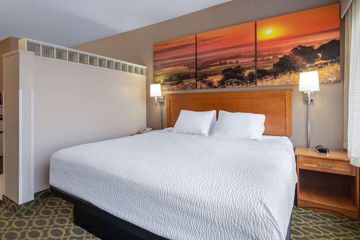 1 King Bed 1 Bedroom Suite (2 of 11)