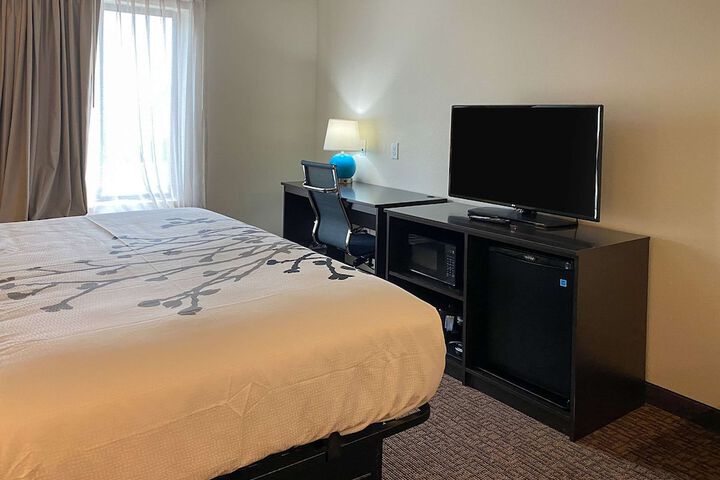 1 King Bed (8 of 9)
