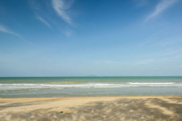 Beach or Ocean View