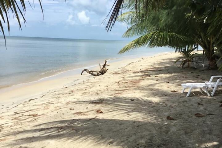 Beach 44 of 55