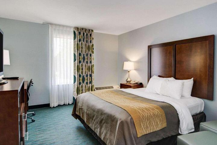 1 Queen Bed (6 of 20)