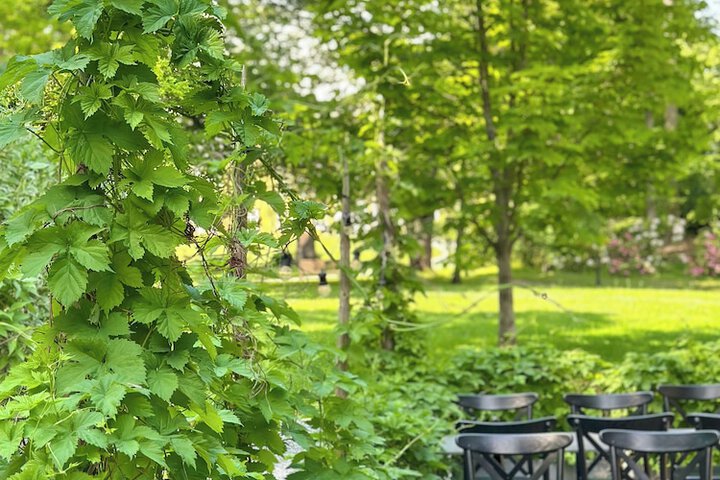 Terrace/Patio 52 of 113