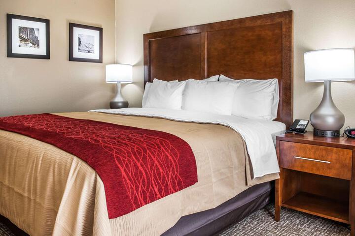1 King Bed (8 of 9)