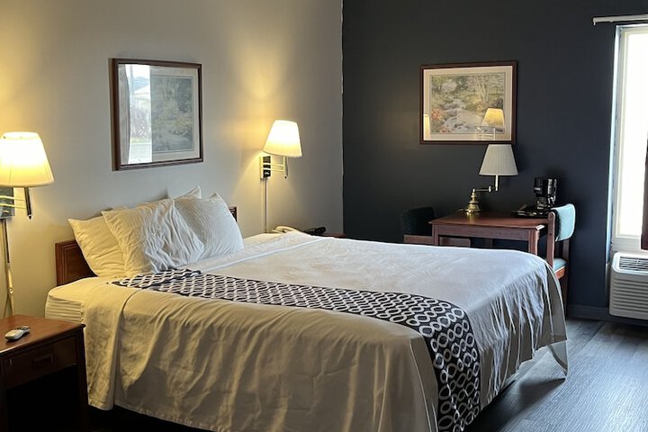 1 King Bed Sofa (4 of 7)