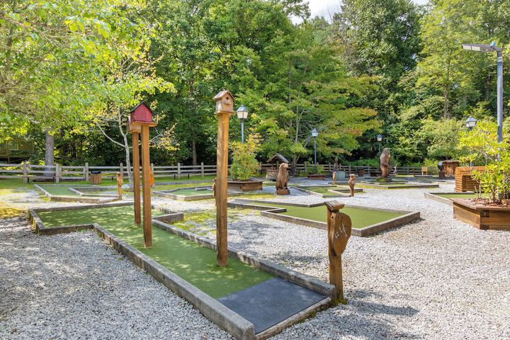 Mini-golf