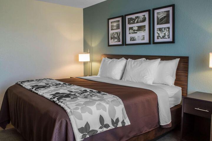 1 King Bed (14 of 18)