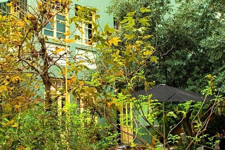 Photo 11
