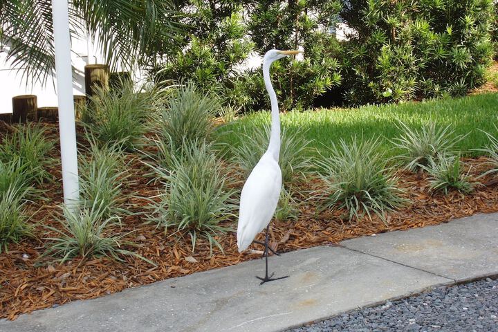 Property Grounds 180 of 207