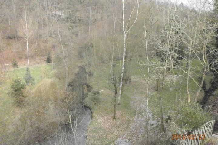 Property Grounds 52 of 58