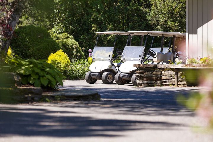 Golf cart