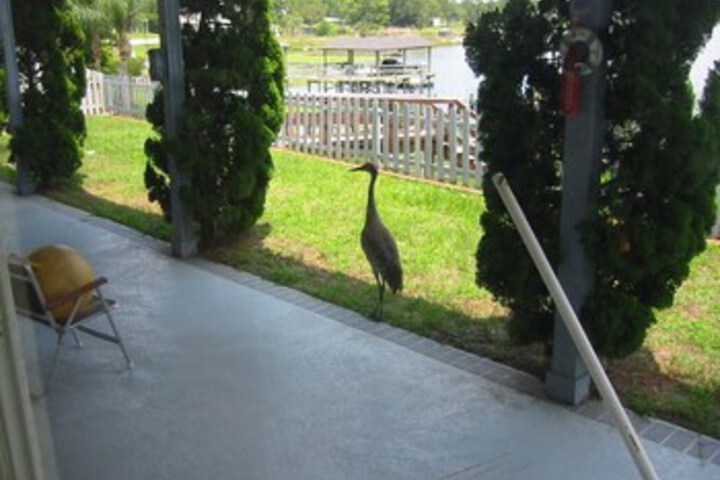 Terrace/Patio 45 of 66