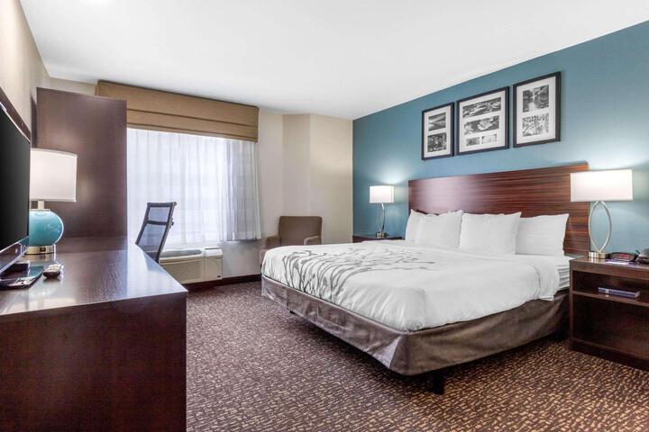 Standard | King Bed (8 of 9)