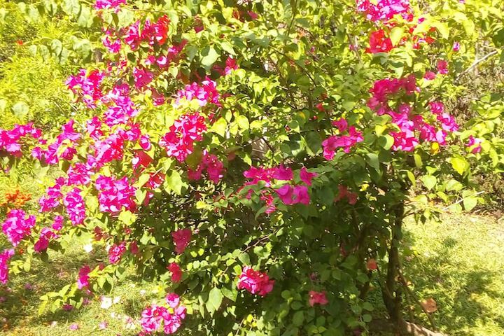 Hotel Exterior 43 of 55
