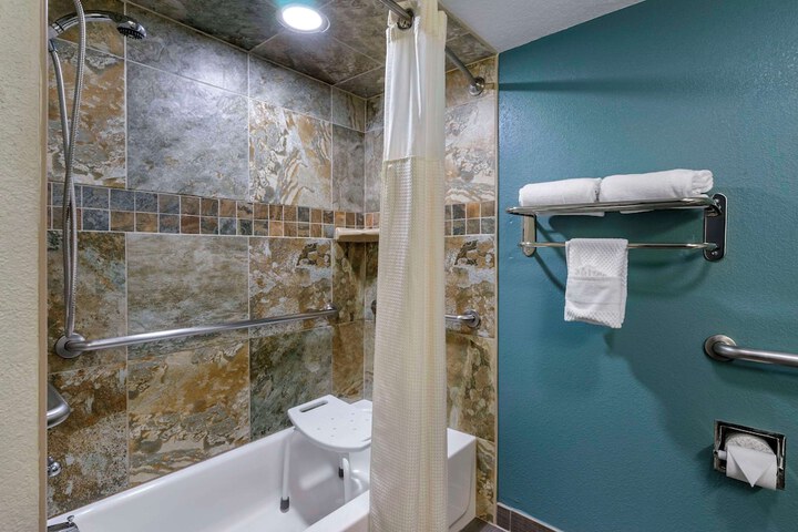 1 Queen Bed Accessible (3 of 6)