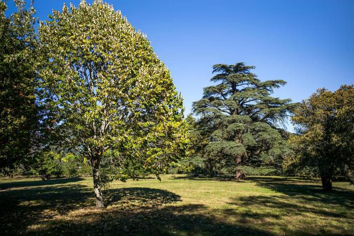 Photo 24