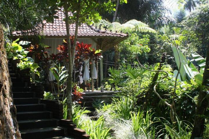 Photo 18
