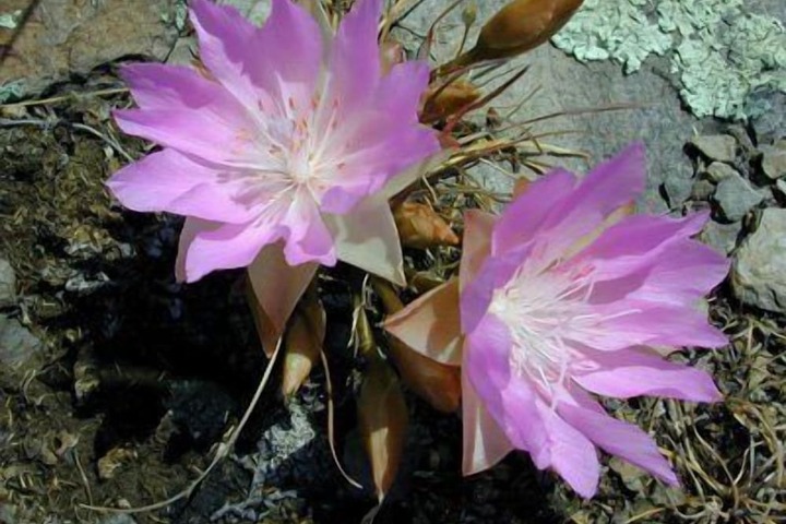 Outdoor Activities 104 of 188