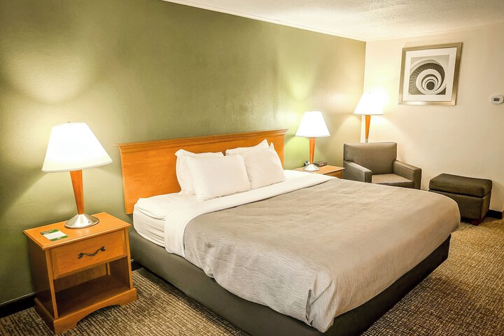 1 King Bed (3 of 8)