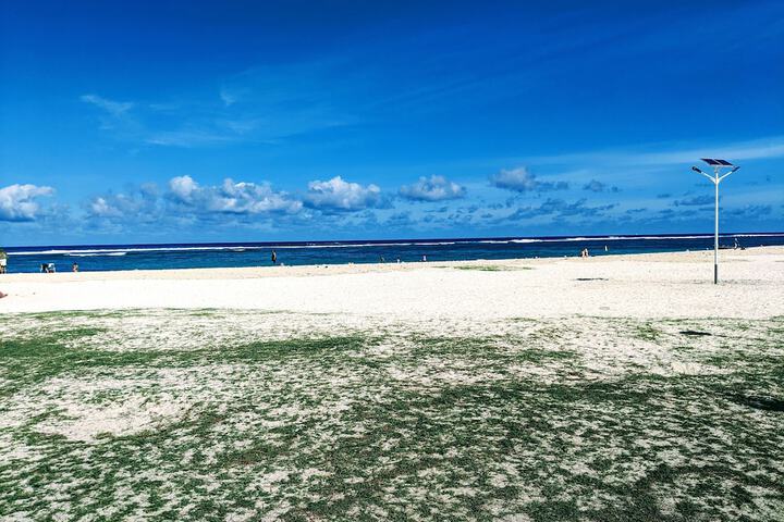 Beach 36 of 41