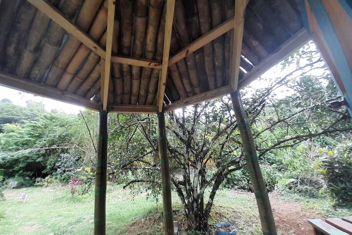 Terrace/Patio 57 of 92