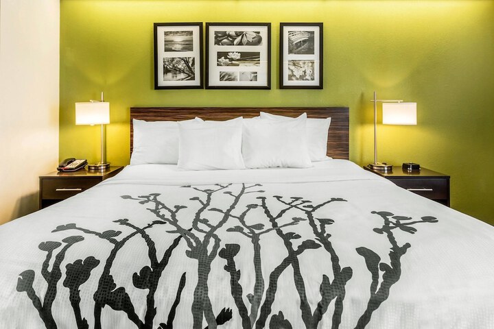 Standard | King Bed (3 of 9)