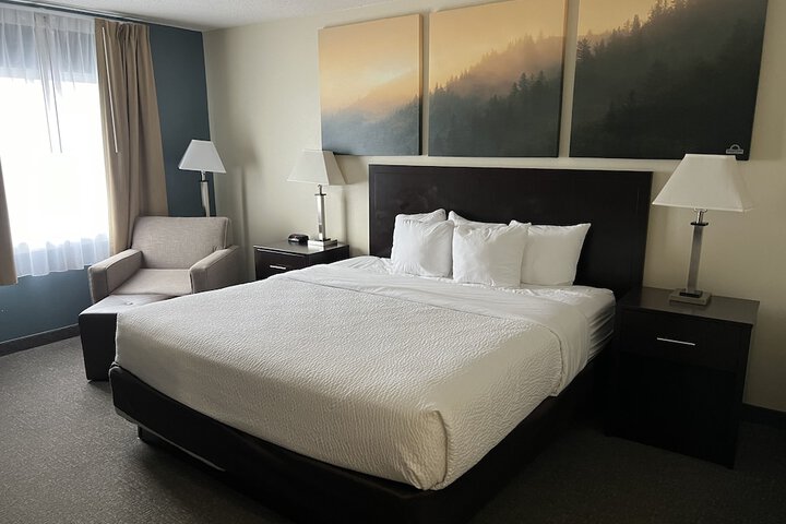 1 King Bed Mobility Accessible Bathtub with Grab Bars (7 of 21)