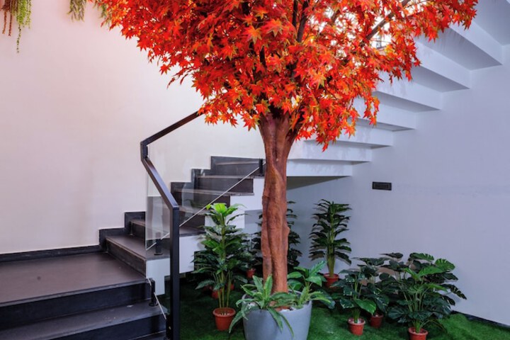 Terrace/Patio 73 of 74