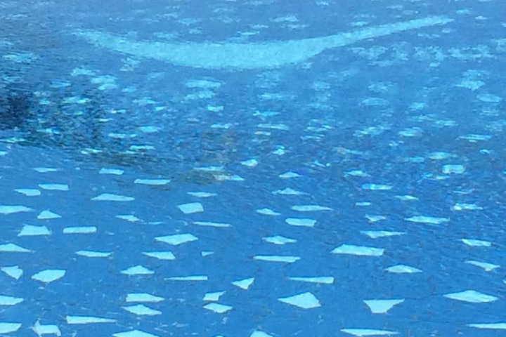 Pools & Facilities