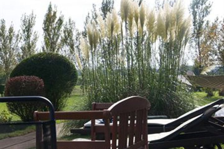 Sundeck 42 of 42