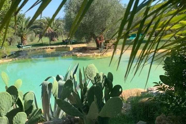 Pool 40 of 80